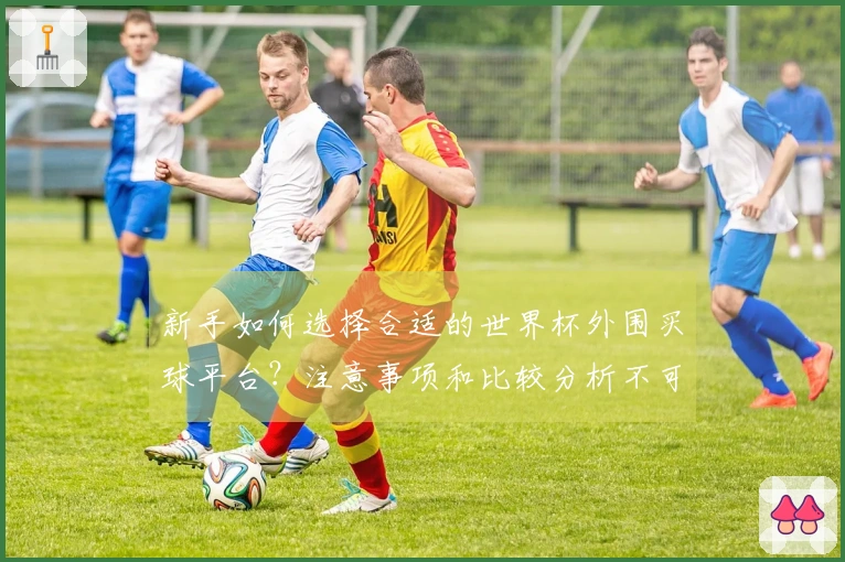 新手如何选择合适的世界杯外围买球平台？注意事项和比较分析不可忽视