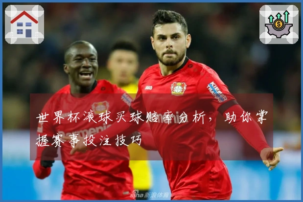 世界杯滚球买球赔率分析，助你掌握赛事投注技巧