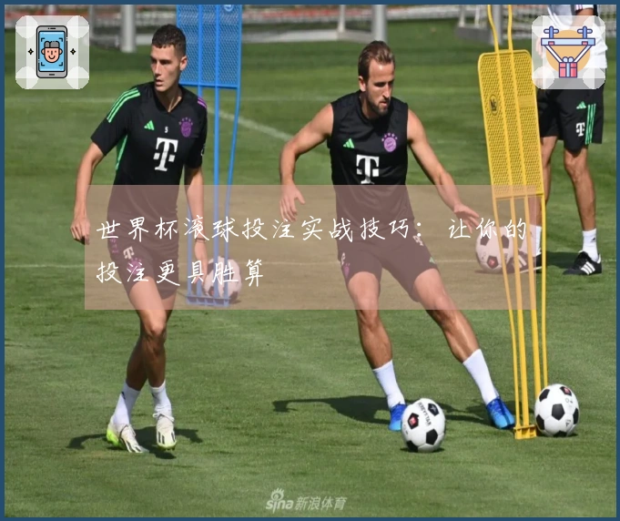 世界杯滚球投注实战技巧：让你的投注更具胜算