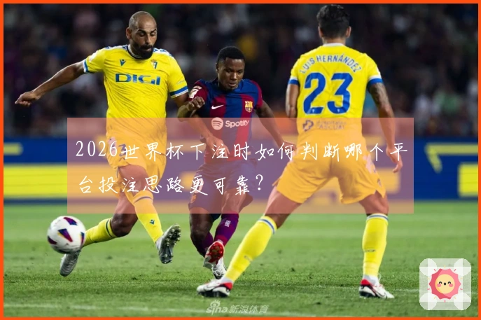 2026世界杯下注时如何判断哪个平台投注思路更可靠？