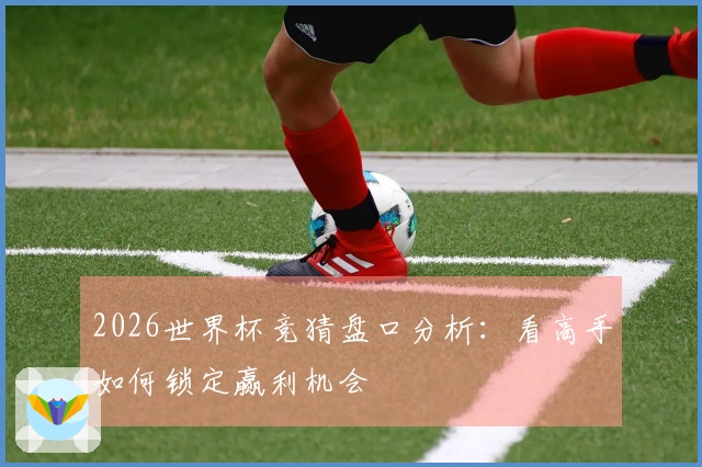 2026世界杯竞猜盘口分析：看高手如何锁定赢利机会